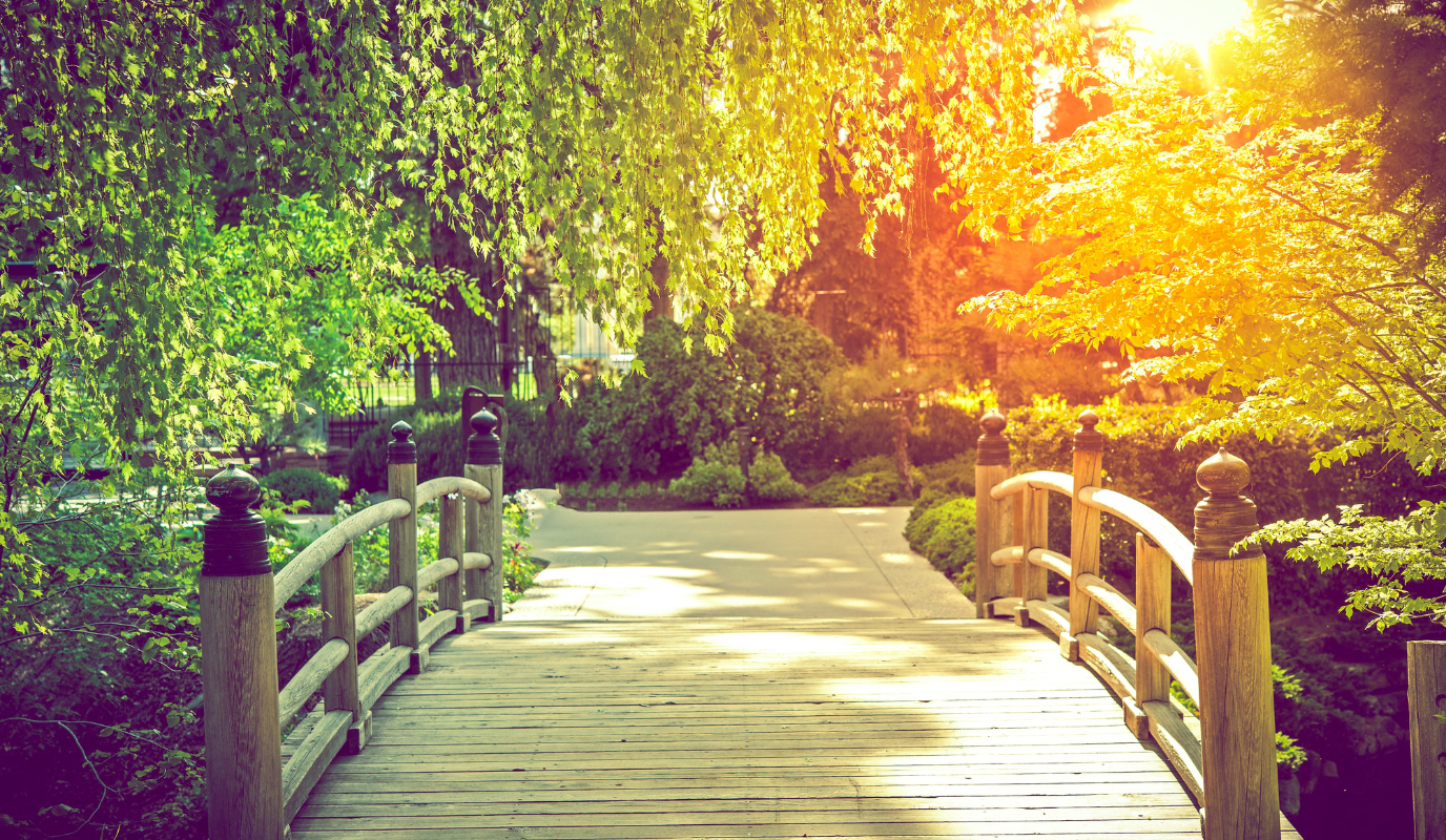 Drveni cvjetni mošusni