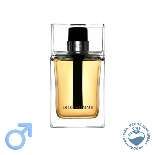 Christian Dior Dior Homme 2020 - 100ml