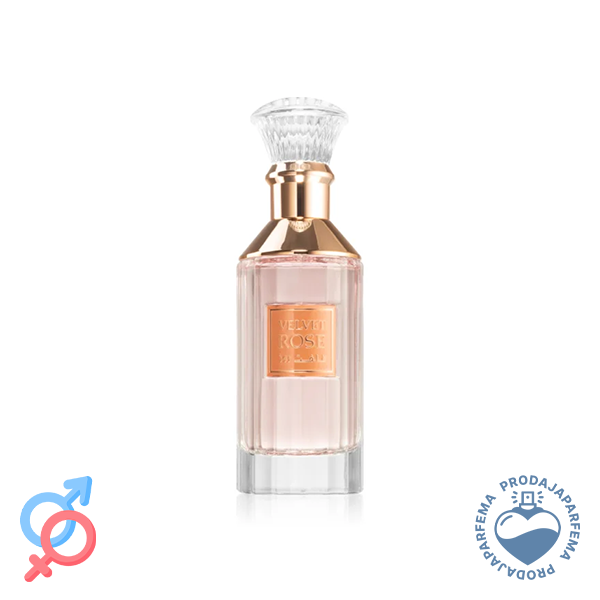 Lattafa Velvet Rose - 100ml